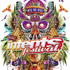Adrenalize vs Wasted Penguinz - Full Liveset - Intents Festival 2024