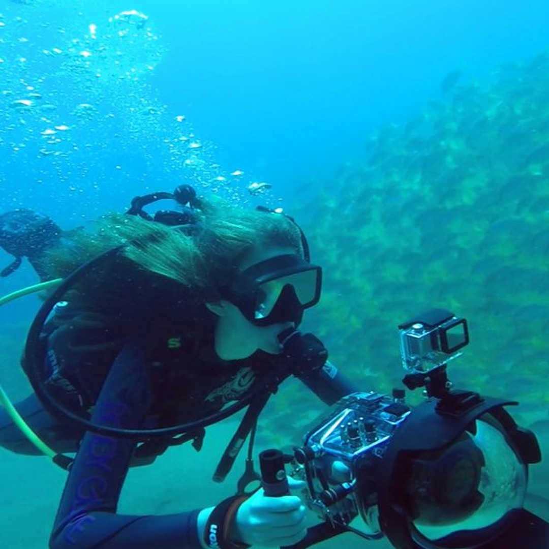 Stream episode Sustainability Now! | LIVE | Julia Barnes | Sea of Life ...