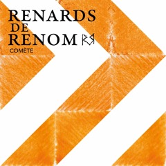 04 Comète