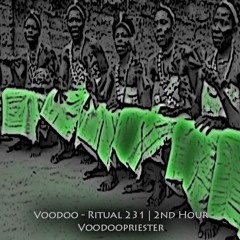 Voodoopriester -- Voodoo - Ritual 231 | 2nd hour @ Fnoob - Techno Radio