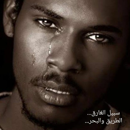 #سبيل_الغارق#بصوتي#نرمين_علي#الكاتبة#ريم_بسيوني#حسن#الشيخ_الزمزمي#