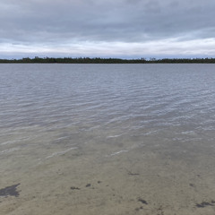 Palaraga You Are Not Alone