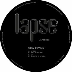 Premiere: A1 - Adam Curtain - Noticed [LAPSE003]