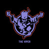 Thunderdome 2025 | The Viper, cover art