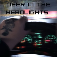 Deer In The Headlights