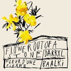 LIMITED PREMIERE: Darryl Baalki - Flower Out Of A Stone