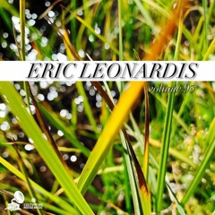 SPROUT SESSIONS #95 - ERIC LEONARDIS (SAN DIEGO)