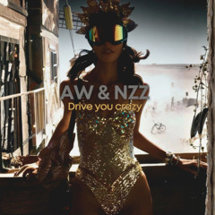 Nizzel & Andreas Wenz - Drive you Crazy (125 C) (Mix2)