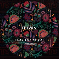 TULVAN - Transylvanian Beat(Original Mix)