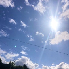 Early Summer Normalized