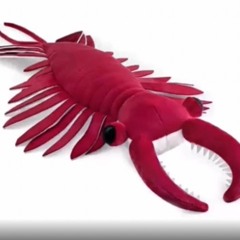 Song that plays when you encounter a anomalocaris 2