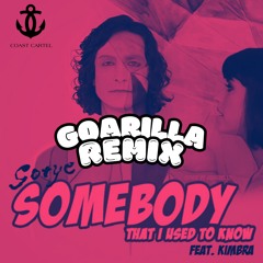 Gotye - somebody that i use ( Goarilla Remix)