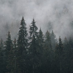 If you go down to the woods