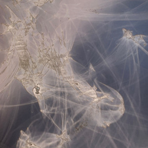 Le béguin pour SVAWK (16.04.24)