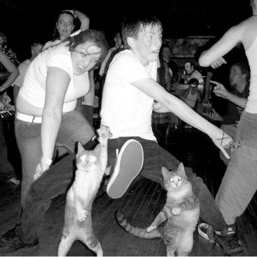 Dance with me dance with us
