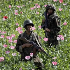 WO RAS - There Are Wars - EP -04- ASATIGH (feat. Zura Amio Zula)