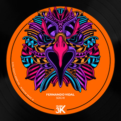 Fernando Vidal - The House Music Song Original Mix