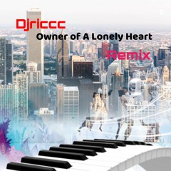 Owner Of A Lonely Heart (Dj Riccc - REMIX)
