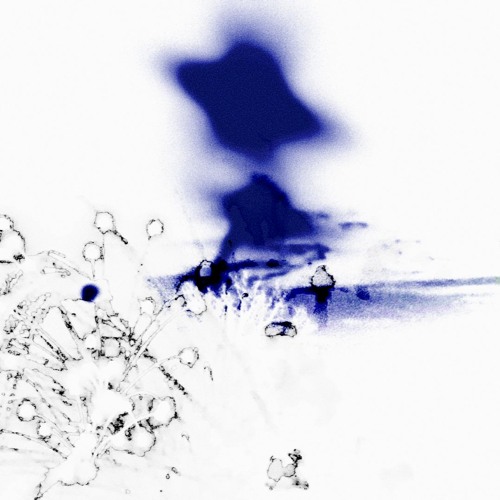 fall back out (under the maple tree)