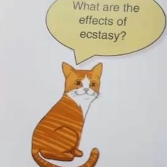 The Effects Of Ecstasy