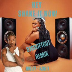 Xzibit vs. MOLIY - Hey Shake it Now (Intro) (DjSwiftCut Remix)(FILTER) (Shake it to the Max)