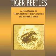 Book [PDF]  Northeastern Tiger Beetles: A Field Guide to Tiger Beetles
