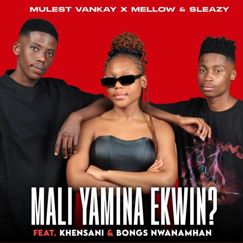 MALI YAMINA EKWIN? (feat. Bongs Nwana Mhan & Khensani)