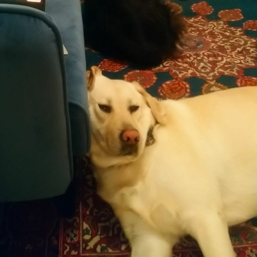 Groovy tunes to socially distance to