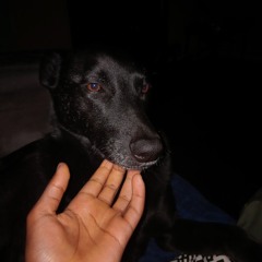 Quieres ser portuges___ ultra slowed + reverb.