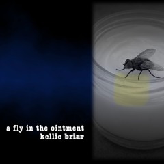 A Fly in the Ointment
