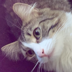 You're What I'm Missing.mp3