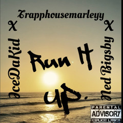 IceDaKid X Ned Bigsby X TrappHousemarleyy - Run it up. (Prod by: Castelobeats)