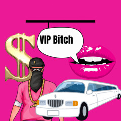 VIP Bitch ( mashup) rap meets melodic