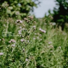 alarm clock in paradise [ambient set]