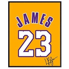 Lebron James. @maxxd @flowku @da.waune #Hashira #FlowNation #FG