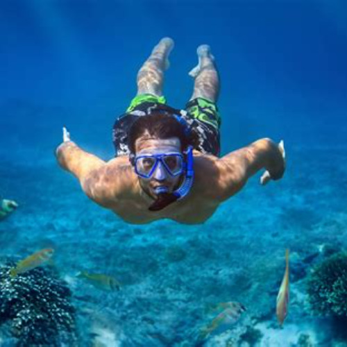Review Special Price Snorkeling Island Hopping