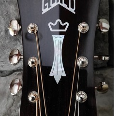 OM120 Audio Demo 2020 Model