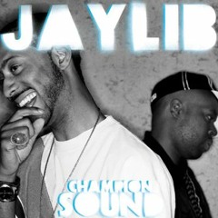 Jaylib - The Heist (Outro Loop)