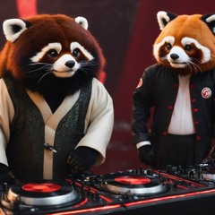 Mexician Radio - ReMiX