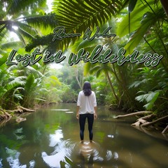 Lost in Wilderness (Original Mix)