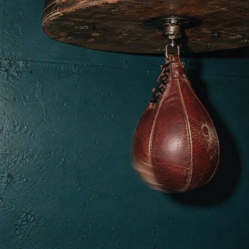 Speed Bag