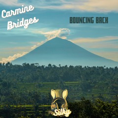 Carmine Bridges - Bouncing Back (Mr Silky's LoFi Beats)