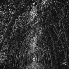The Wound That Weeps the World