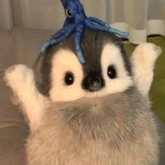 Kuiper - Bittersweet (Cover)