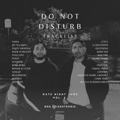 Do Not Disturb Vol. 2 | Punjabi & Hip Hop - Date Night Jams | TIGERTRONIK & NRG