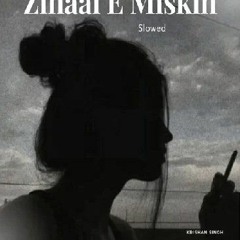 Zihaal E Maskin Lofi Mixes|Slowed nd Reverb