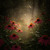 Artwork for 205 — Piano — OEP