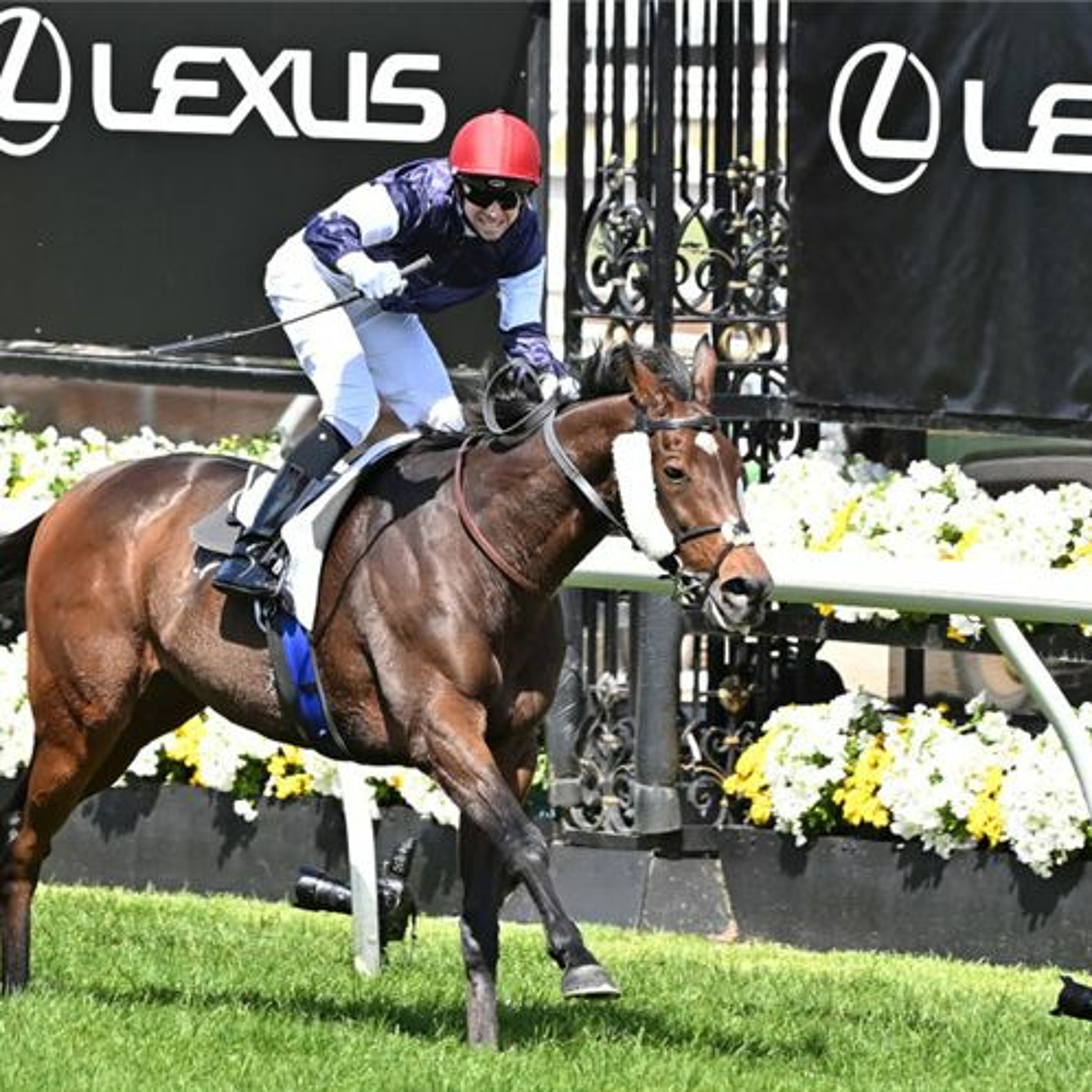 Melbourne Cup Week Review
