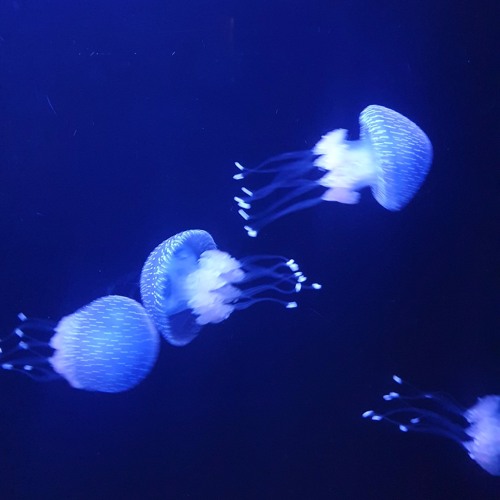 deepmix