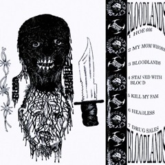 BLOODLANDS (REUPLOAD TAPE 2024)